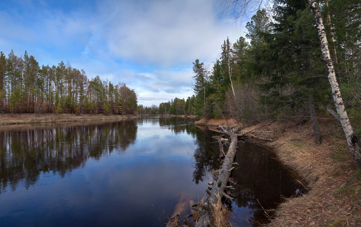 photo "***" tags: landscape, nature, forest, river, sky, spring