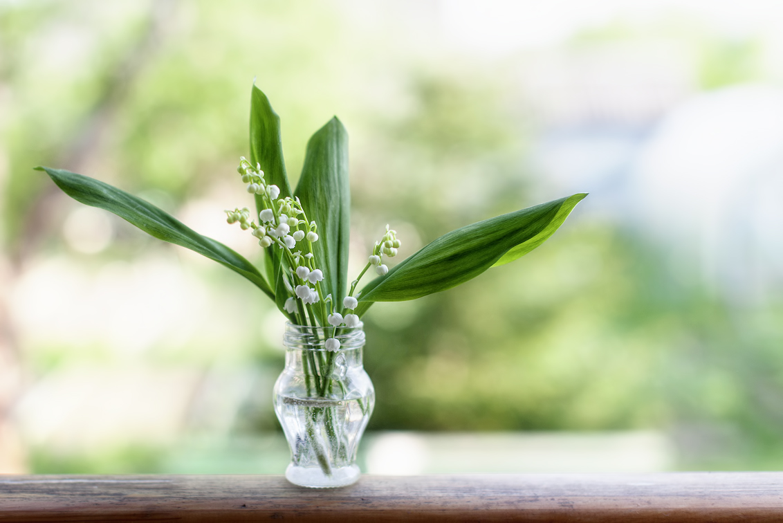 photo "***" tags: still life, nature, ландыши