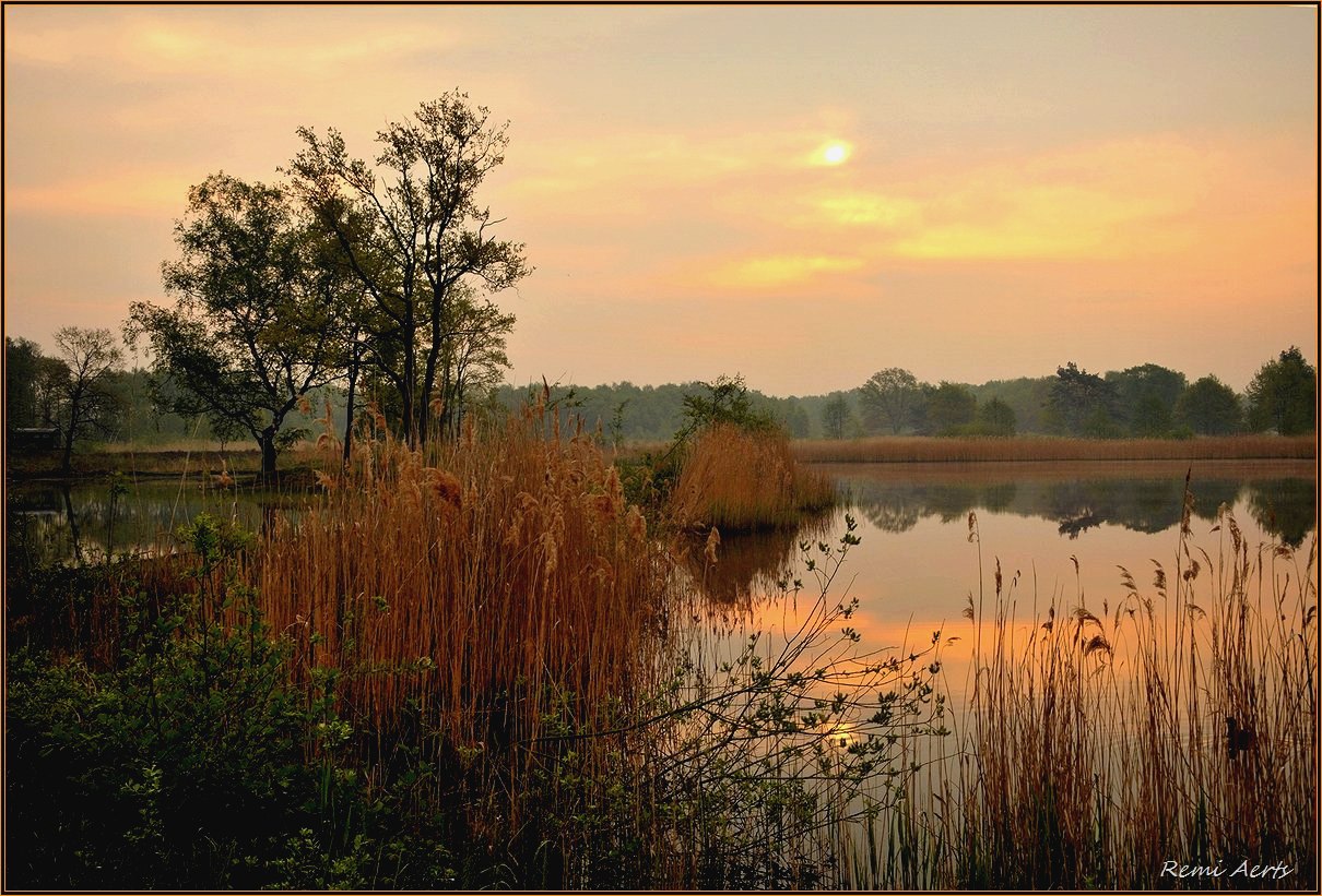 фото "***" метки: пейзаж, природа, spring, вода, рассвет