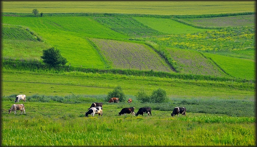 фото "***" метки: пейзаж, 