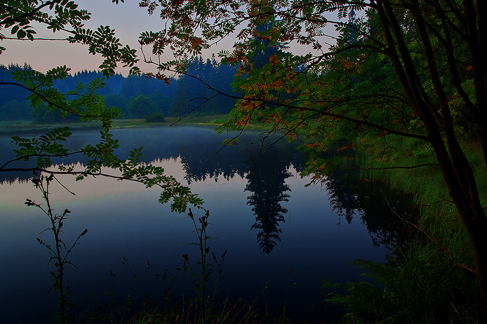 photo "***" tags: , 