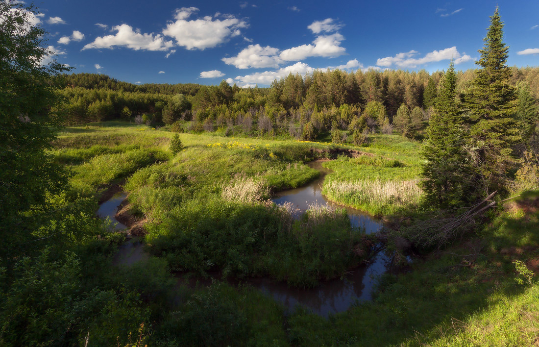 photo "***" tags: landscape, clouds, forest, river, summer