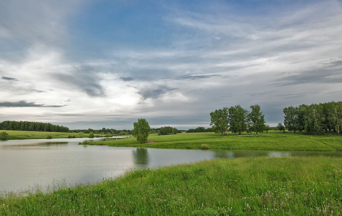 photo "***" tags: landscape, birches, evening, summer, water