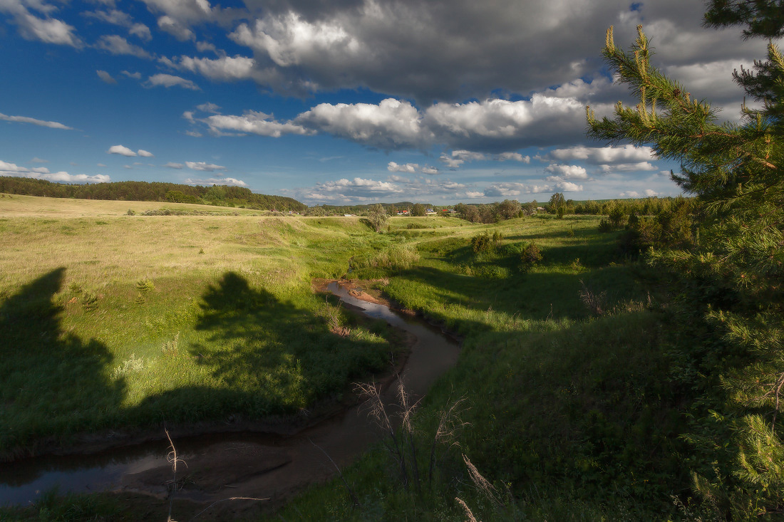 photo "***" tags: landscape, clouds, forest, grass, summer, Речка, русло, склоны, тени