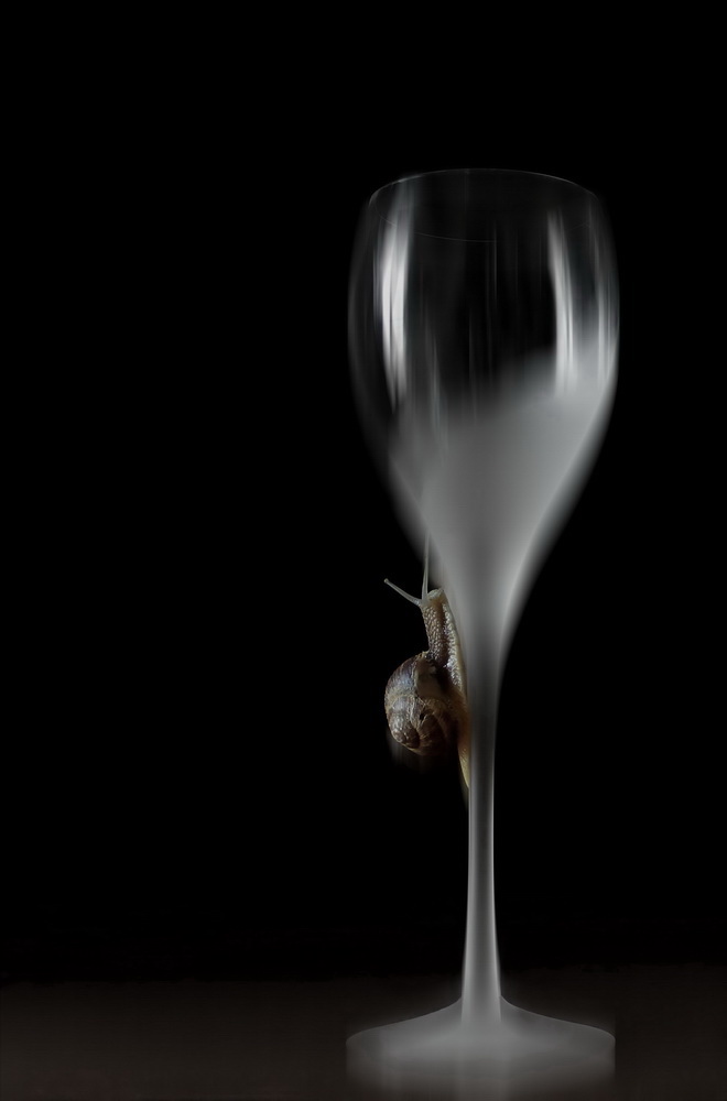 фото "Panning" метки: юмор, 
