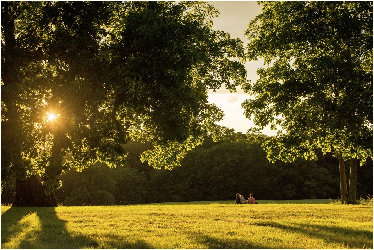 photo "summer evening" tags: landscape, man, people, summer, sunset, woman