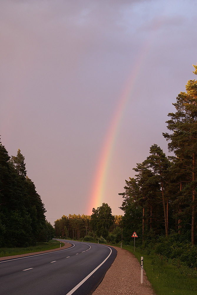 photo "Радуга" tags: landscape, forest, rainbow, road, облока