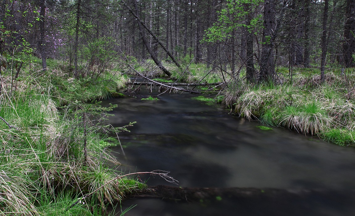 photo "***" tags: landscape, 