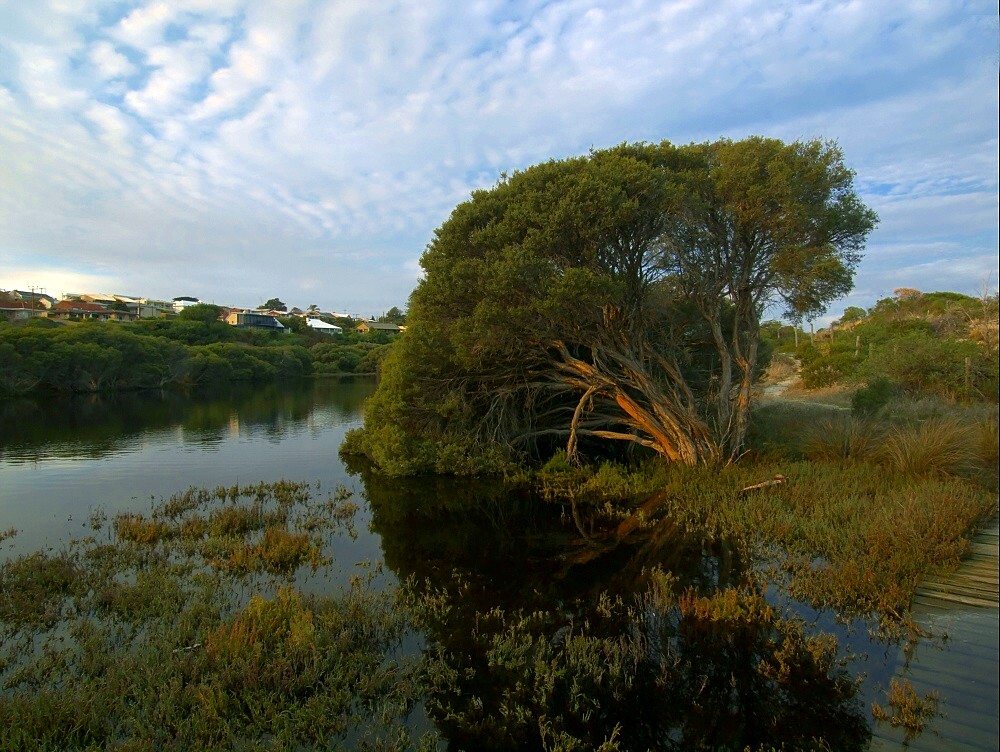 photo "Lagoon" tags: landscape, nature, 