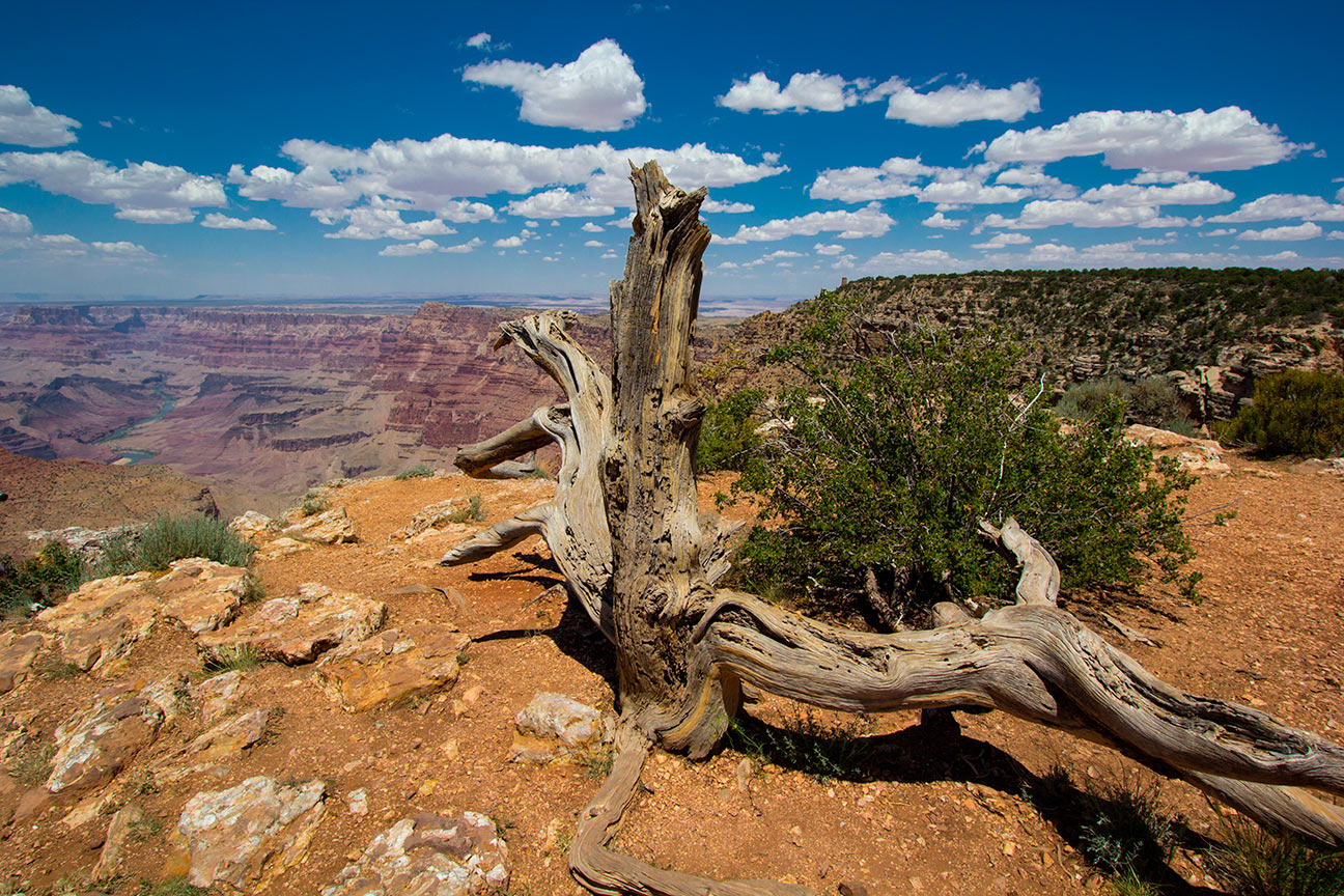 photo "Grand Canyon" tags: landscape, nature, travel, Grand Canyon, Америка, Гранд Каньон