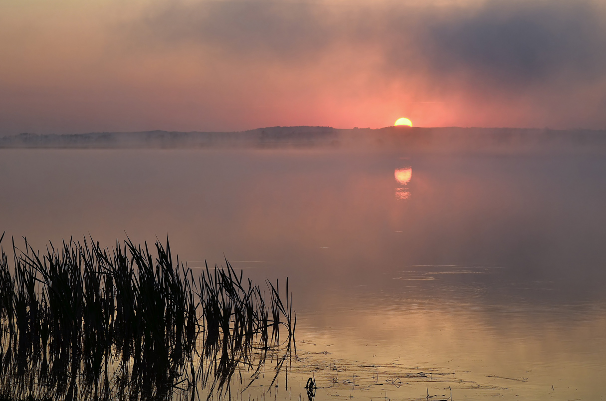 фото "***" метки: пейзаж, Восход, вода, лето, туман, утро