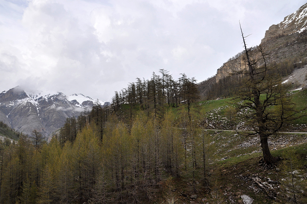 фото "Альпы в начале лета" метки: путешествия, пейзаж, 