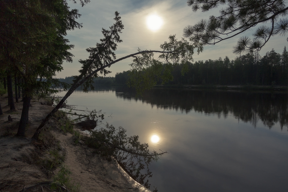 photo "***" tags: landscape, nature, river, summer, sun