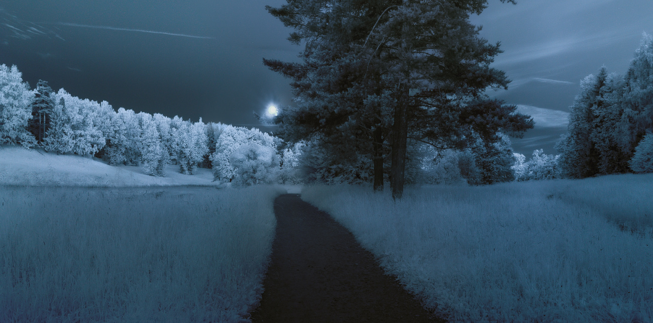 photo "***" tags: landscape, Moon, infrared, night, summer, длинная выдержка, контровой свет, полнолуние