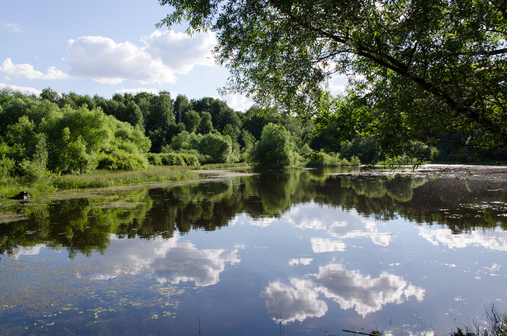 photo "***" tags: landscape, nature, 