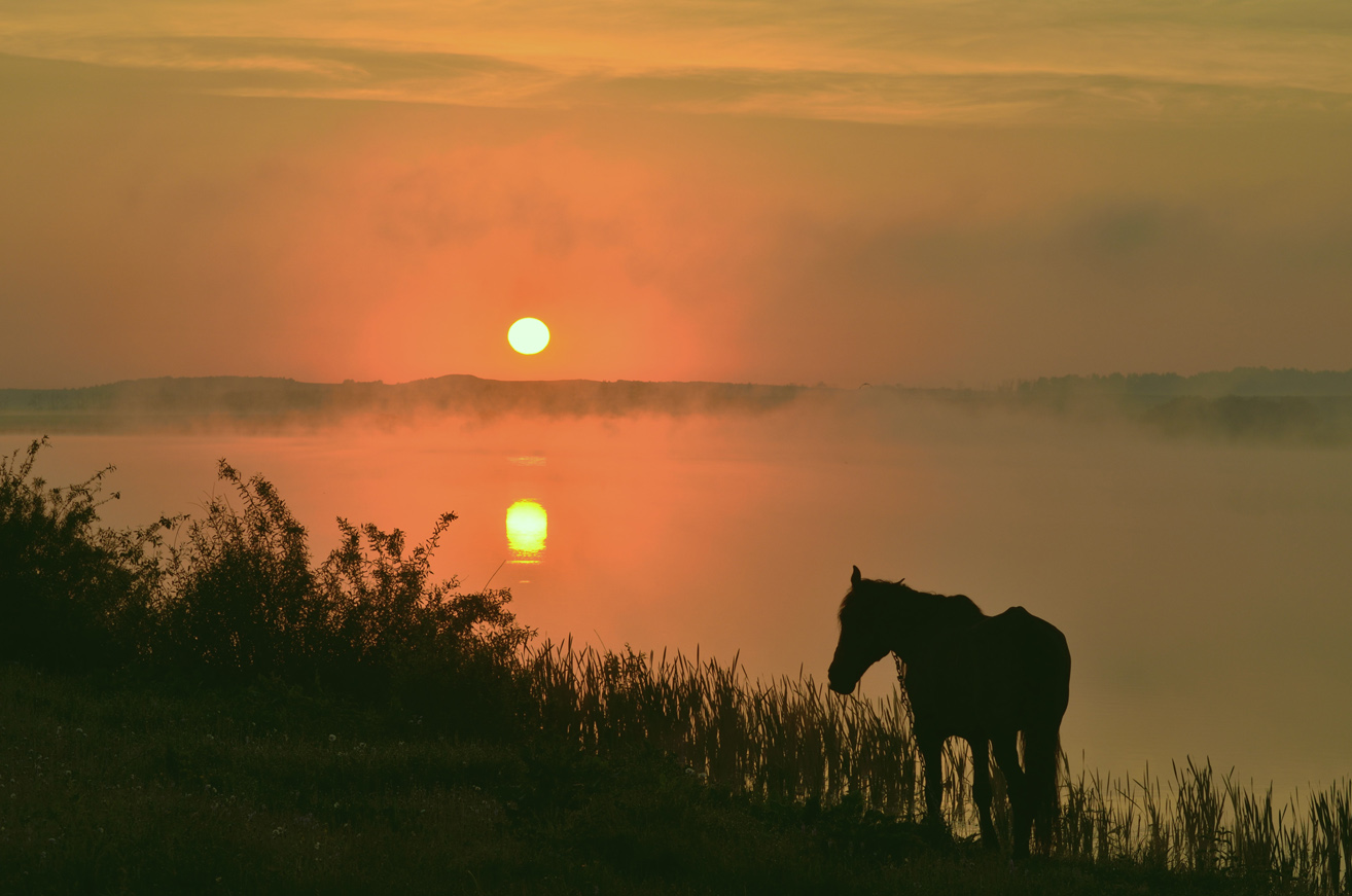 photo "***" tags: landscape, clouds, morning, pond, sky, summer, туманы