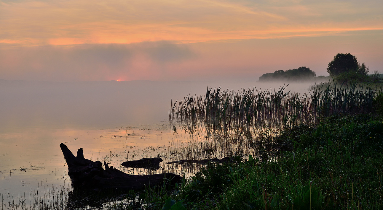 photo "***" tags: landscape, morning, river, sky, summer, Восход, берега