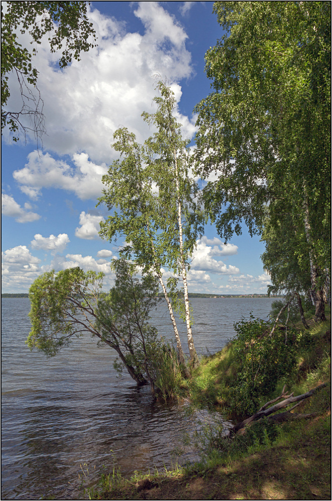 photo "From the series "Lake Senezh" (3)" tags: landscape, clouds, lake, summer