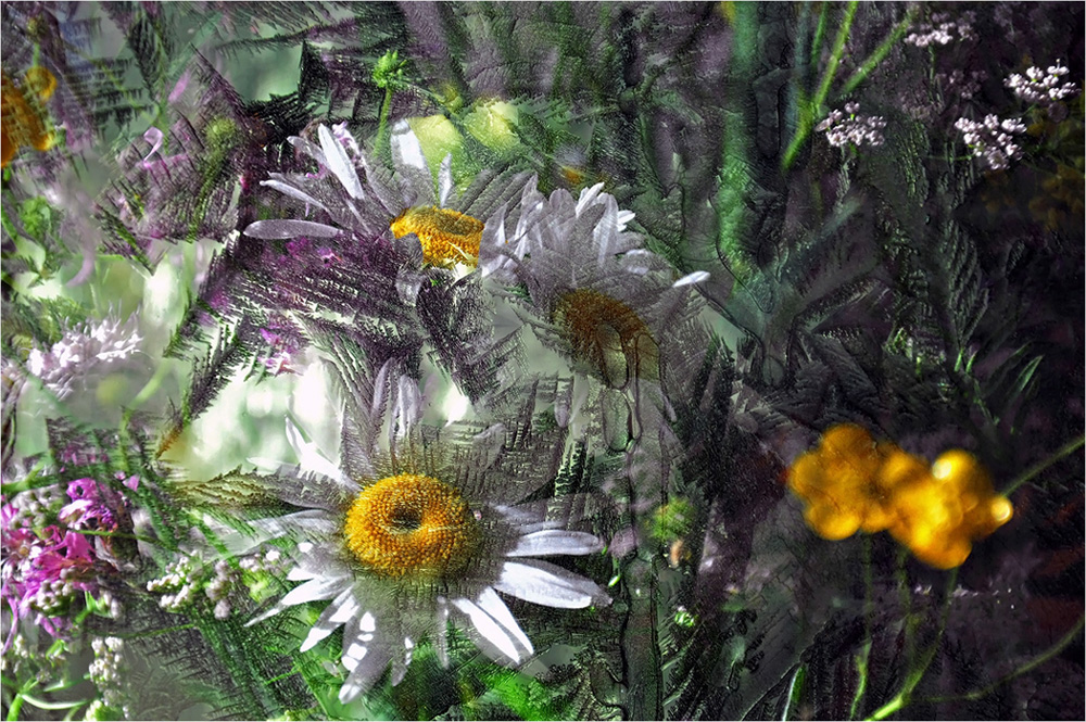 фото "Макушка лета" метки: натюрморт, фотомонтаж, абстракция, лето, цветы