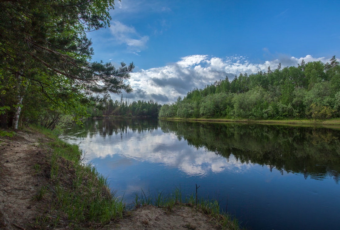 photo "***" tags: landscape, nature, forest, river, sky, summer, день