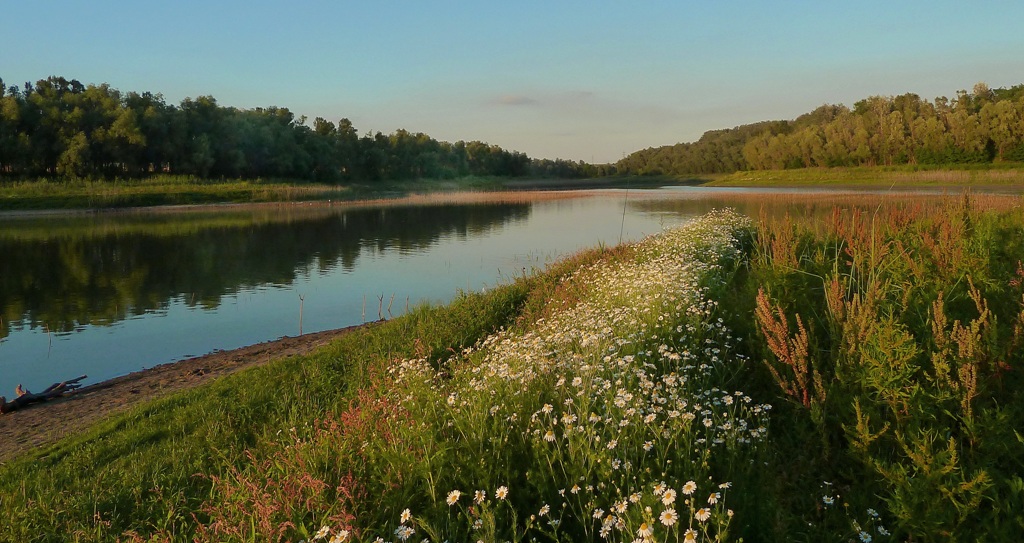 фото "летний вечер" метки: природа, пейзаж, путешествия, Украина, вода, лето, цветы