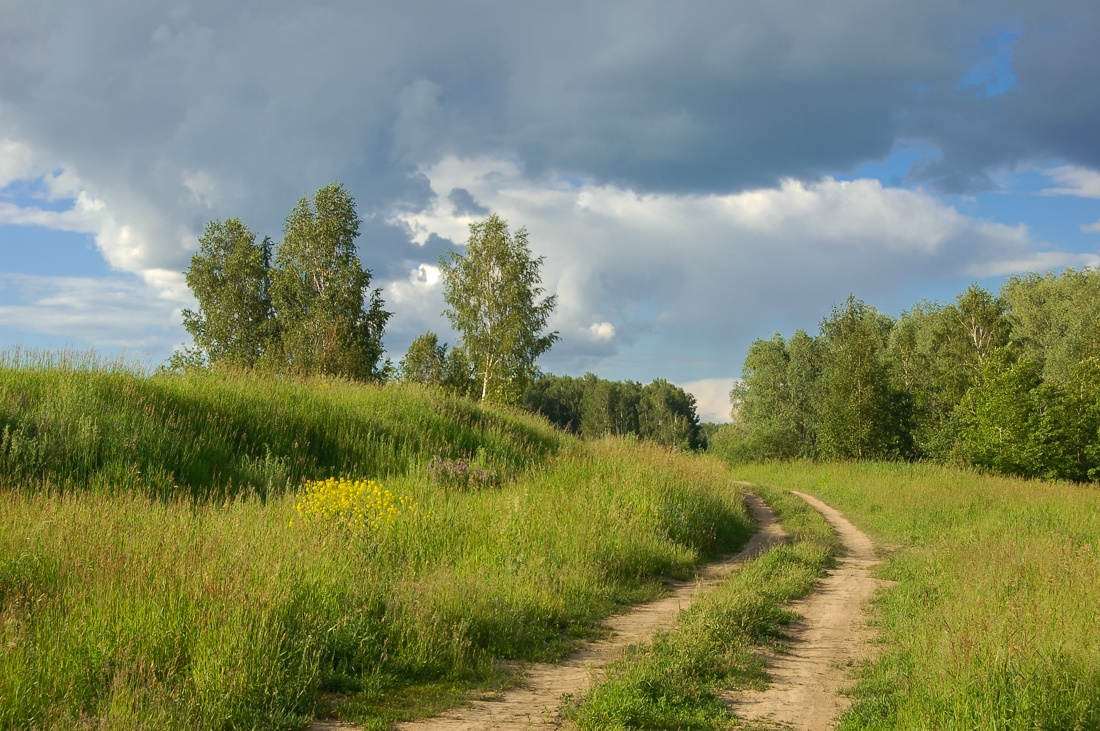 photo "***" tags: landscape, clouds, forest, summer