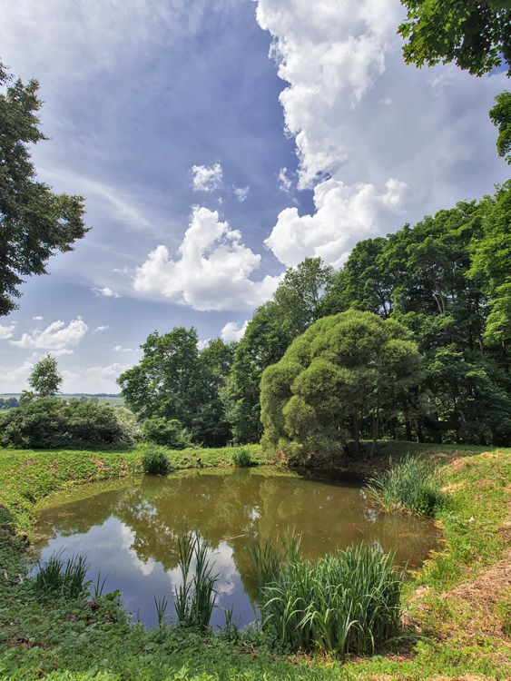 photo "***" tags: landscape, clouds, summer