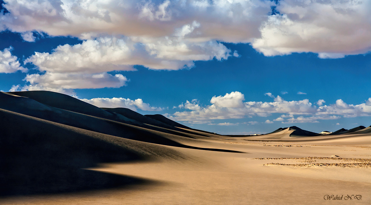 photo "Valley of Dunes" tags: landscape, travel, nature, Africa, Dseert