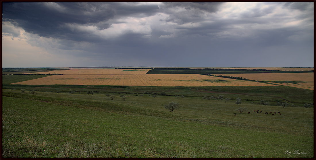 photo "***" tags: landscape, summer