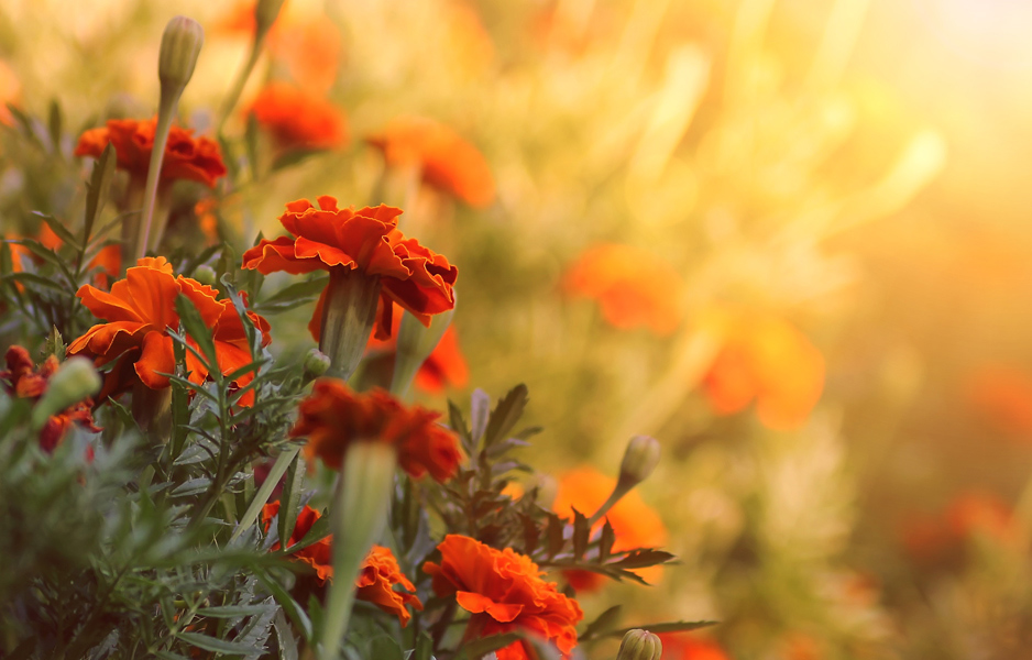 photo "***" tags: , 