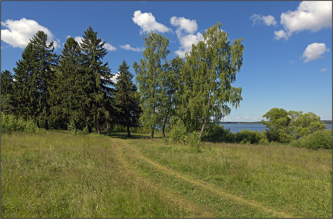 photo "The June sketch" tags: landscape, forest, lake, summer