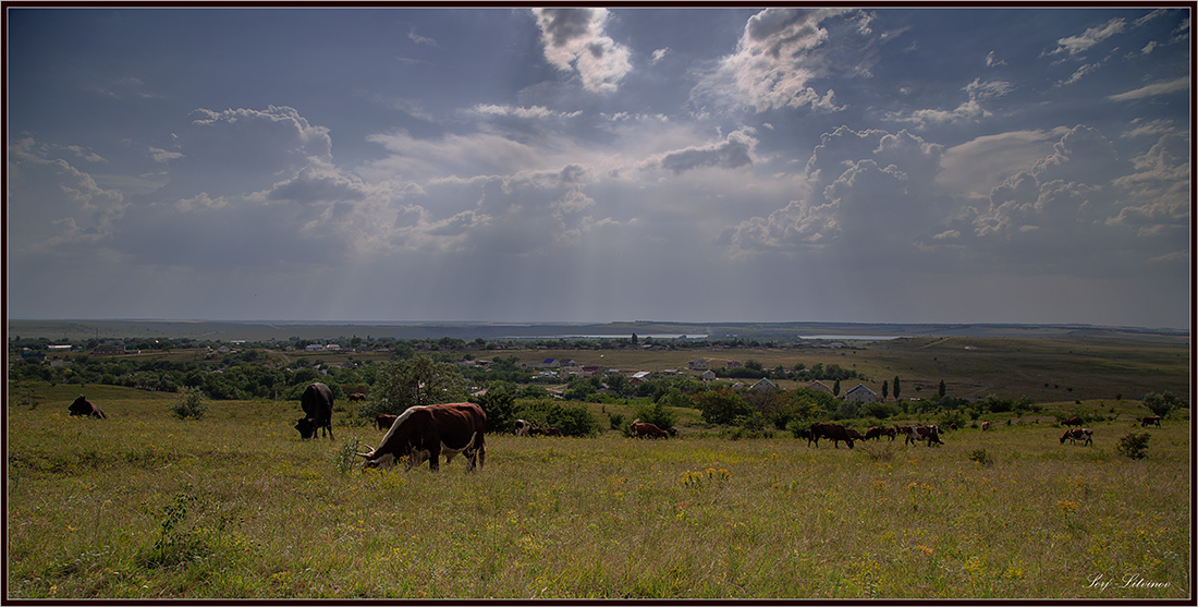 фото "***" метки: пейзаж, лето