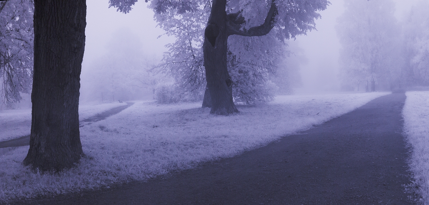 photo "***" tags: landscape, fog, infrared, morning, summer, sunrise, длинная выдержка