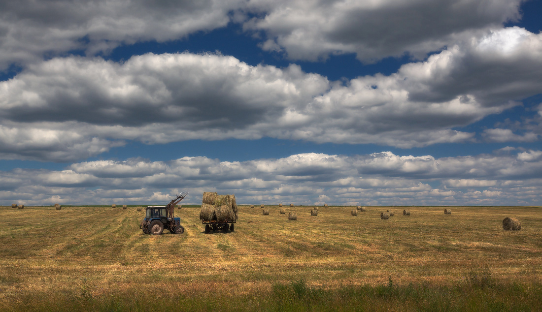 photo "***" tags: landscape, clouds, field, grass, summer, валики, сено, тележка, трактор