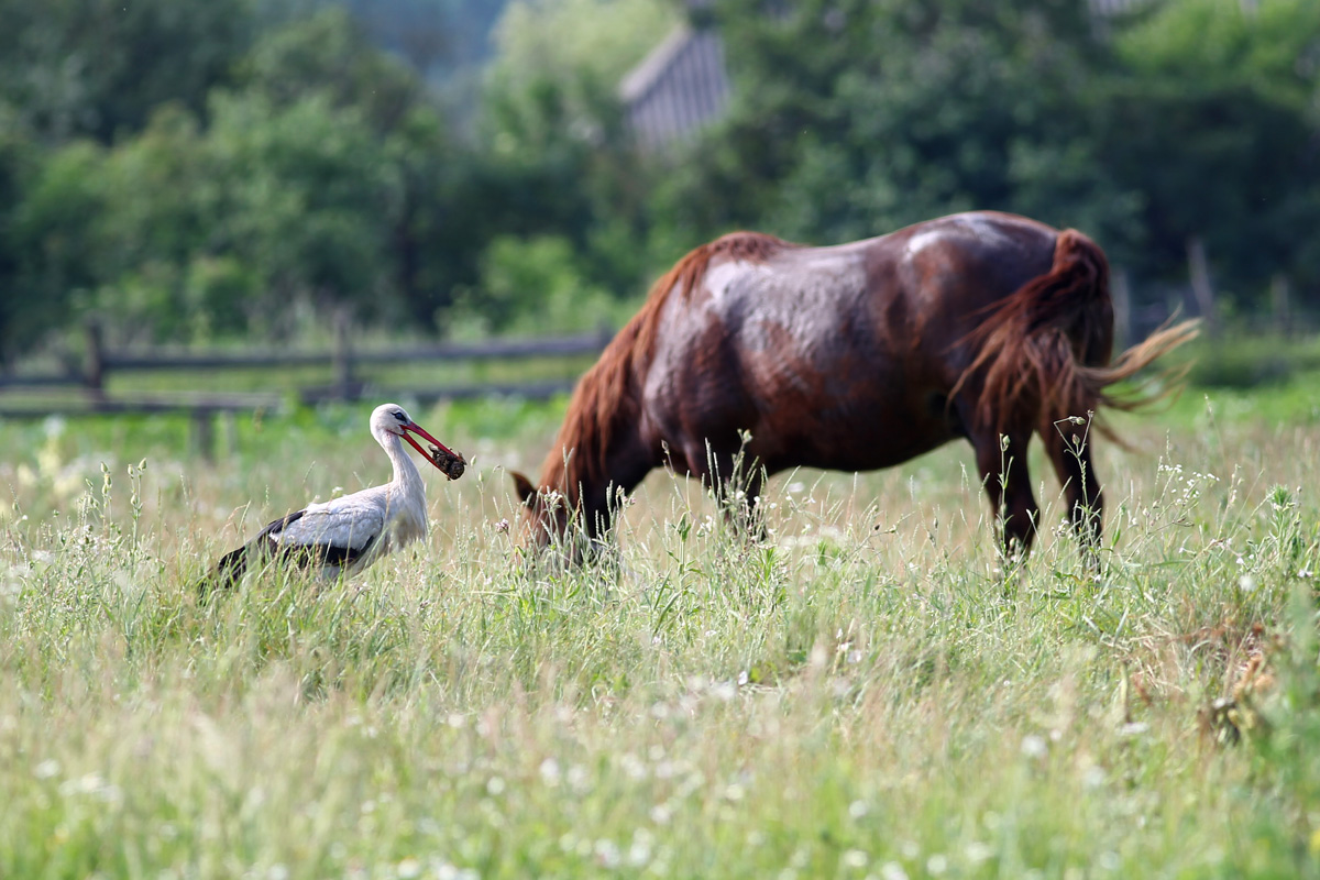 фото "***" метки: , 