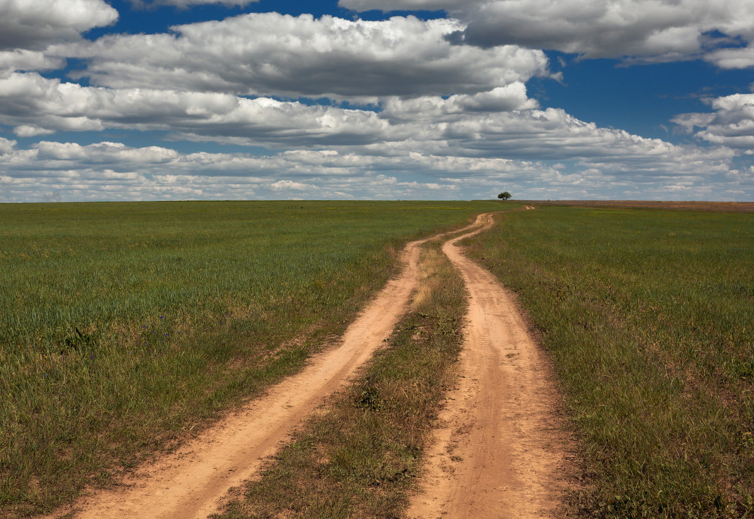 photo "***" tags: landscape, clouds, field, grass, road, summer, tree, колея