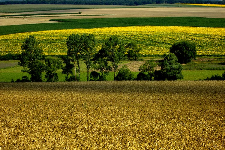 фото "***" метки: природа, жанр, пейзаж, 