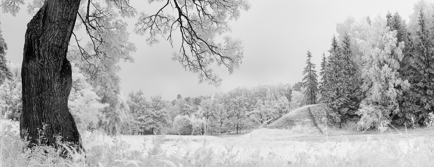 фото "*" метки: пейзаж, черно-белые, infrared, лето, рассвет, туман, утро