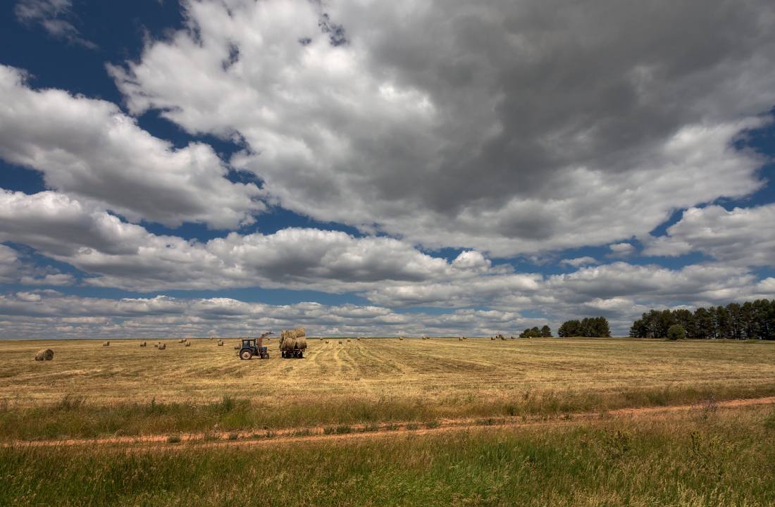 фото "Сбор рулончиков" метки: пейзаж, лес, лето, облака, поле, рулоны, сено, тележка, трава, трактор