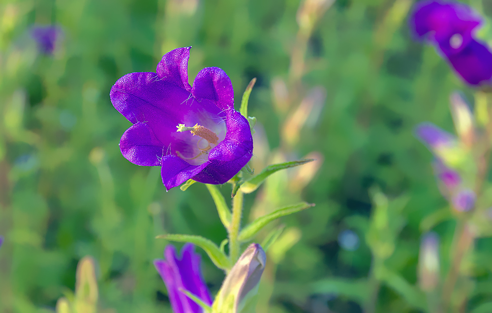 photo "***" tags: , 
