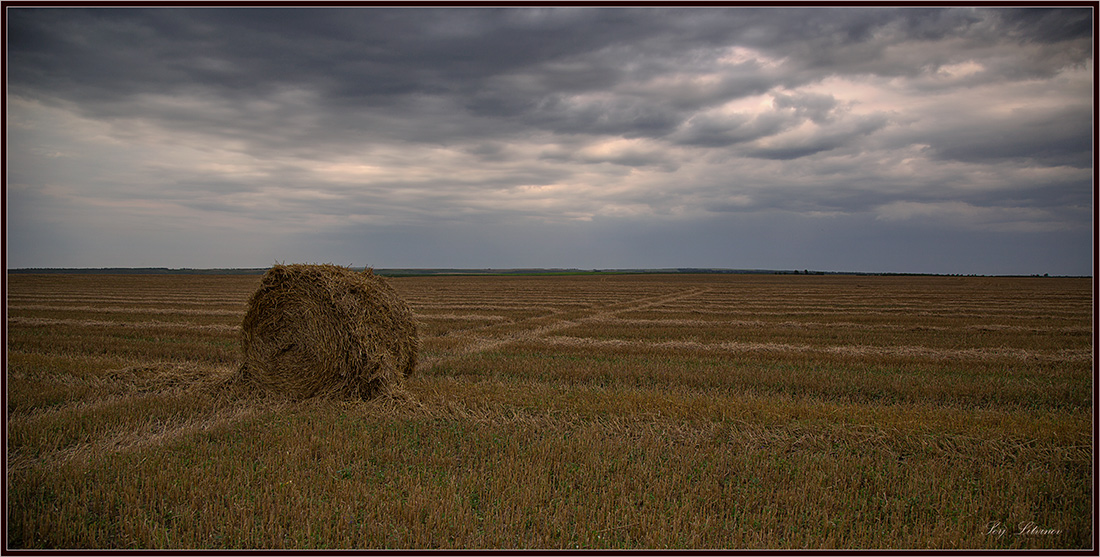 photo "***" tags: landscape, summer