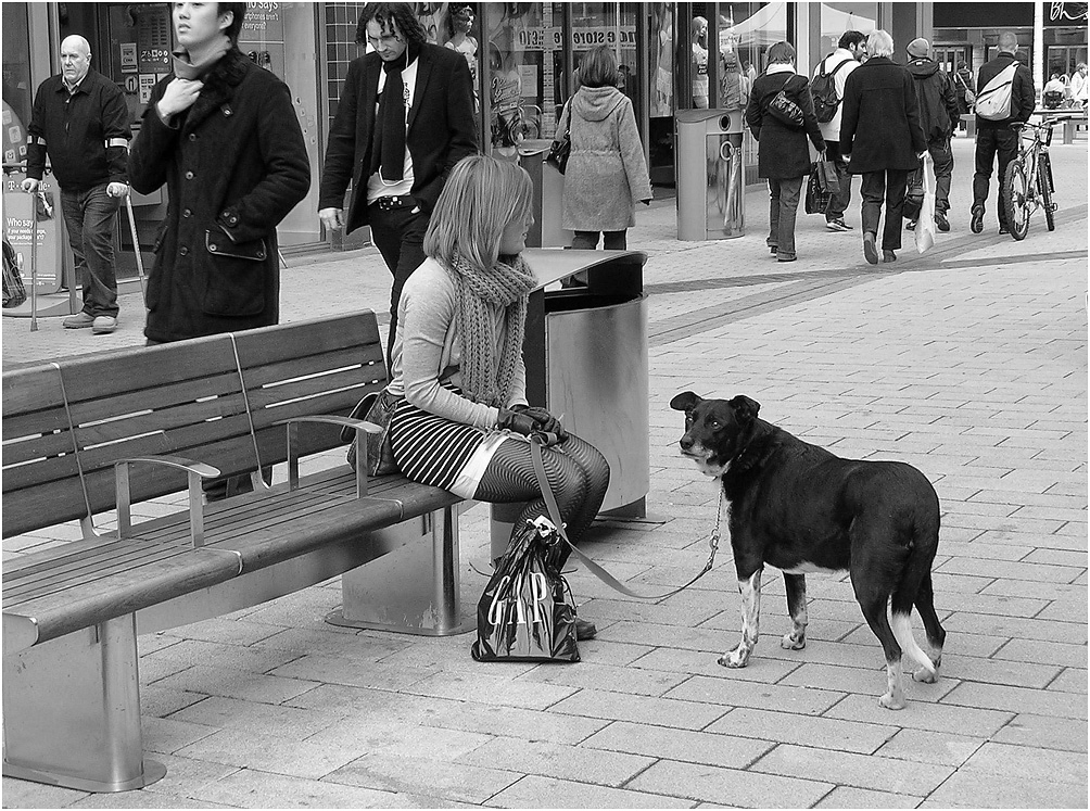 photo "Girl and dog" tags: street, woman, собака