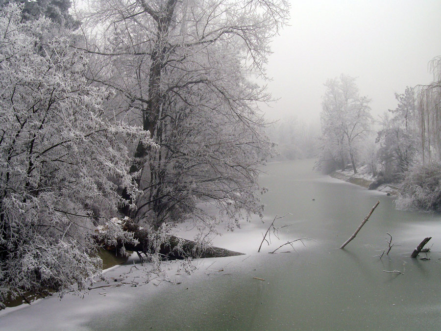 photo "***" tags: landscape, 