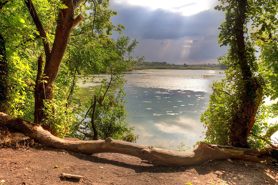 photo "***" tags: landscape, Dnieper, Ukraine, clouds, coast, gulf, sky, tree, Запорожье, бревно