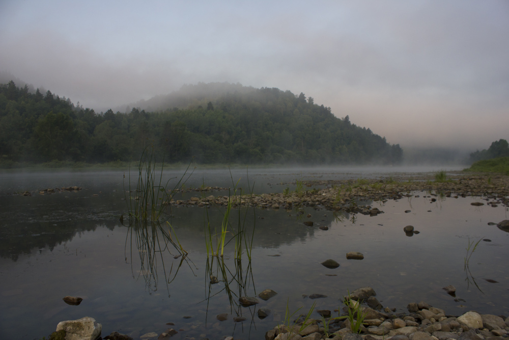 photo "***" tags: nature, fog, Башкортостан, деревья, река Белая