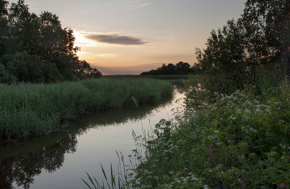 photo "***" tags: landscape, nature, sky, summer, sunset
