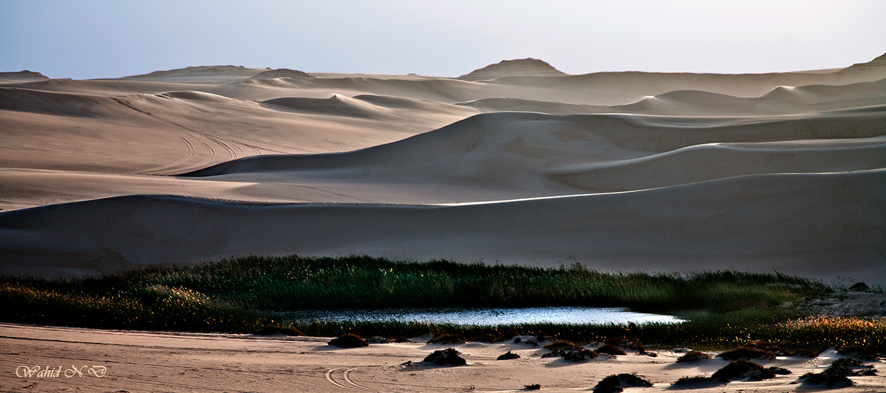 фото "Water in the middle of nowhere" метки: пейзаж, путешествия, природа, desert, Африка, вода