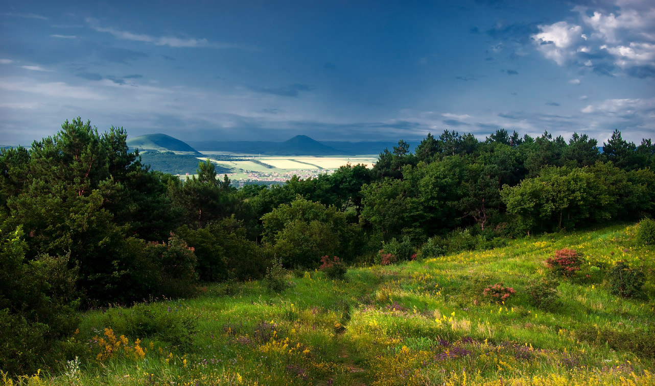 photo "The path to the house" tags: , 