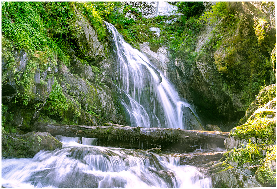 photo "***" tags: travel, nature, landscape, Asia, forest, river, summer, water, Алтай, выодопад