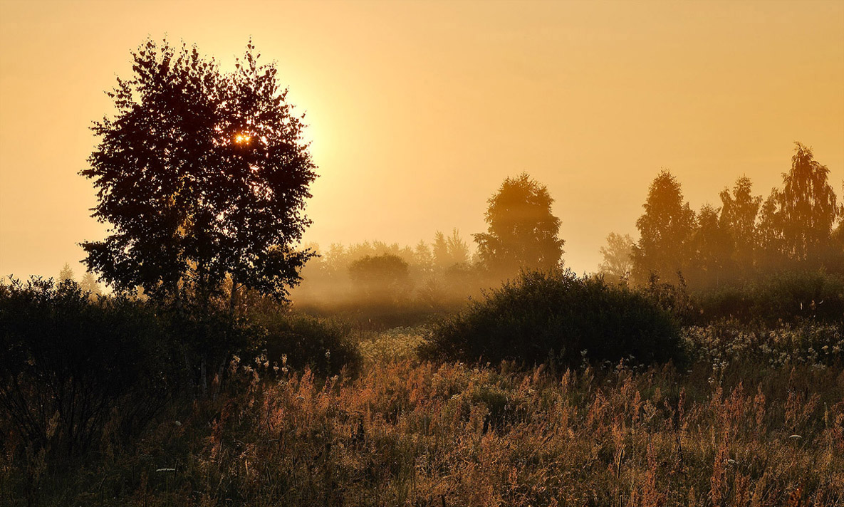 photo "Morning Light" tags: nature, landscape, 